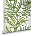 Yasuni Lush Green Wallpaper