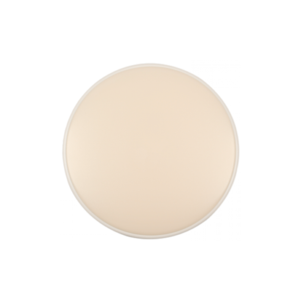 VEGA 250mm LED Flush Light - Warm White