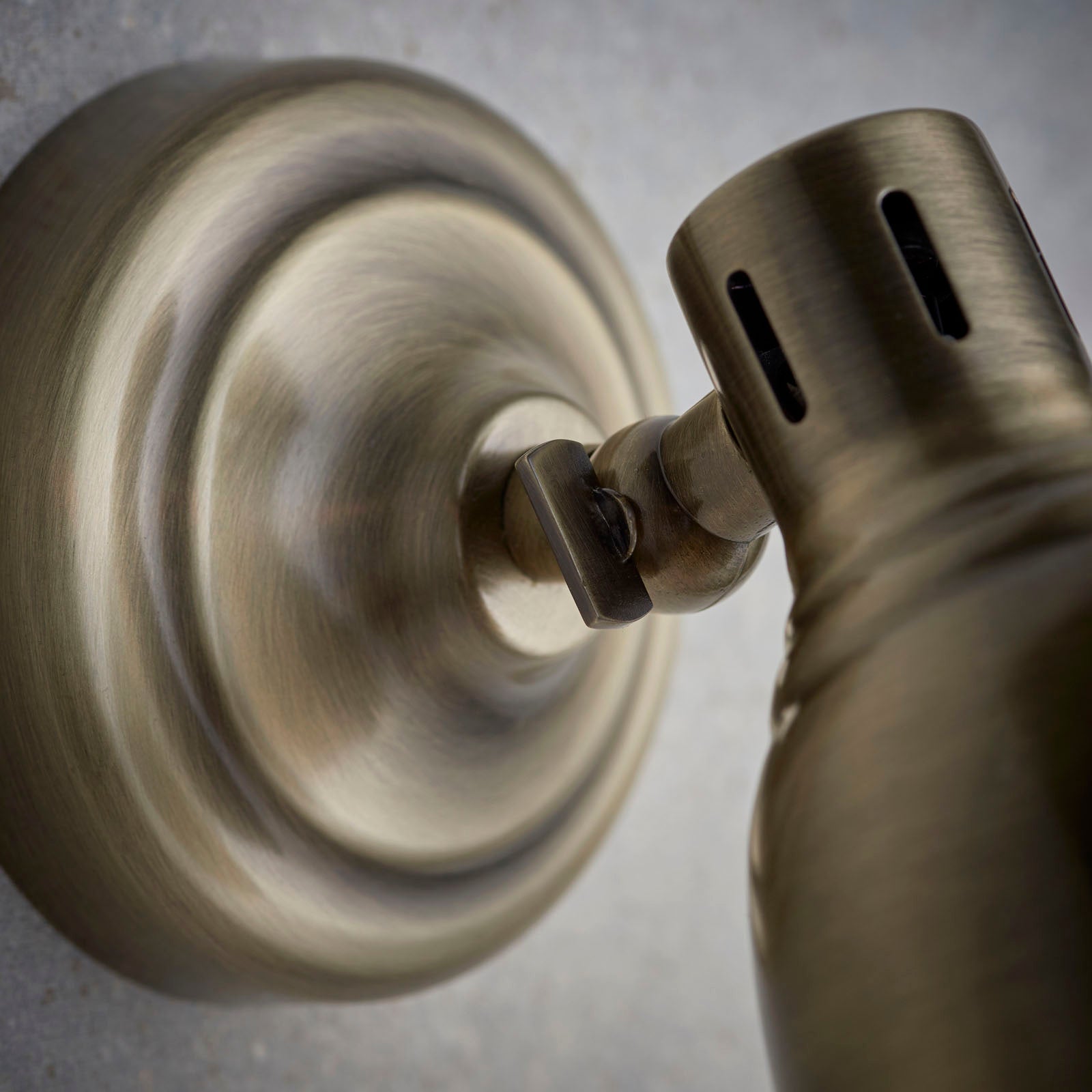 Westbury 1-Light Antique Brass Adjustable Spotlight