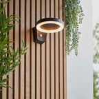 Ebro 1-Light Solar Wall Light (Motion Sensor)