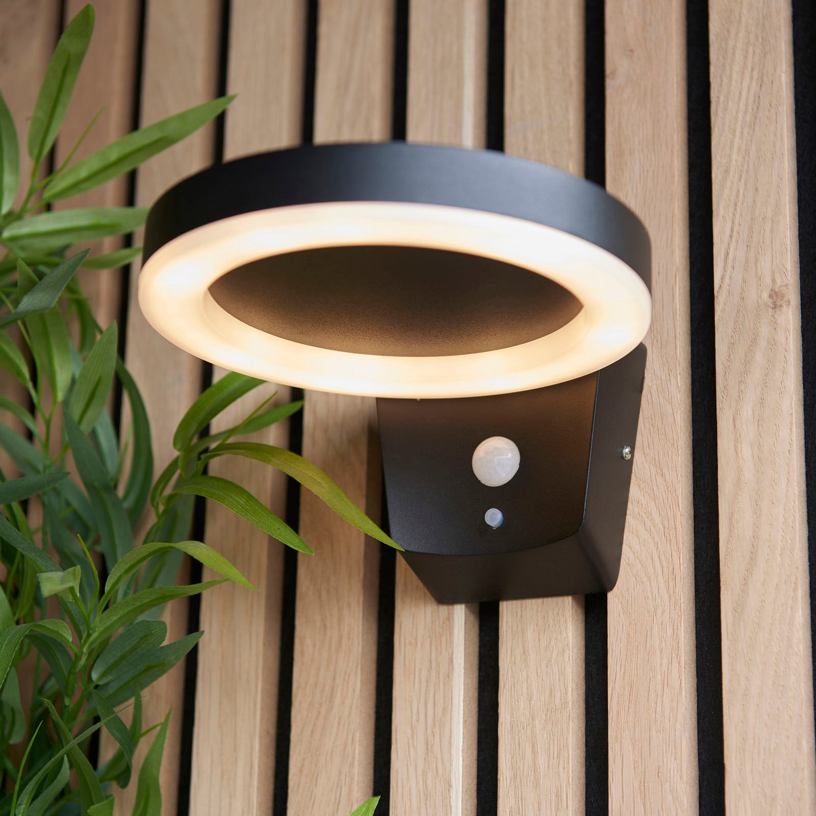 Ebro 1-Light Solar Wall Light (Motion Sensor)