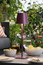 Derrick Rechargeable Outdoor Table Lamp Satin Purple LED IP54