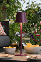 Derrick Rechargeable Outdoor Table Lamp Satin Purple LED IP54