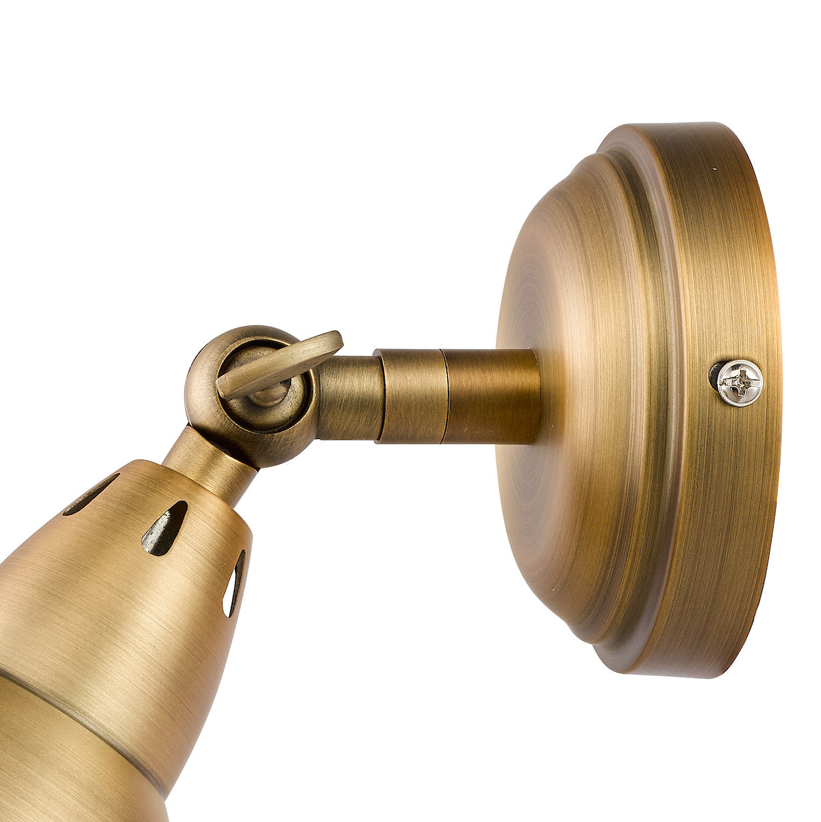 Nathaniel Single Wall Spotlight Aged Brass
