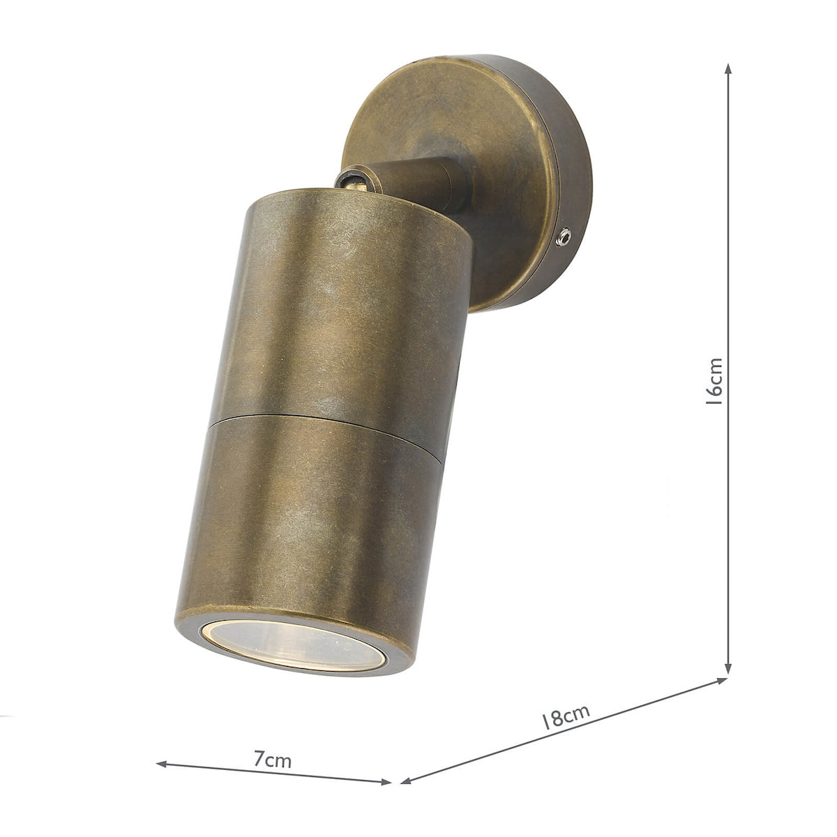 Ortega Outdoor Single Spotlight Natural Brass IP65