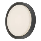 Ralph Large Outdoor Wall Light Anthracite IP65 LED