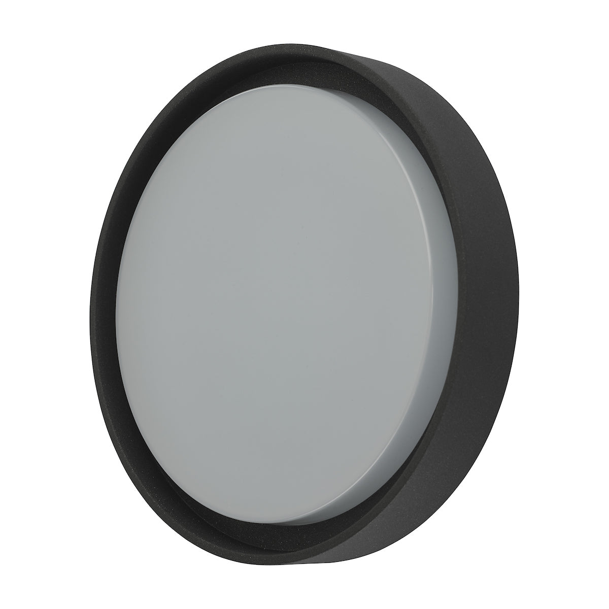 Ralph Large Outdoor Wall Light Anthracite IP65 LED