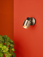 Ryan Single Wall Spotlight Brushed Nickel Matt Black