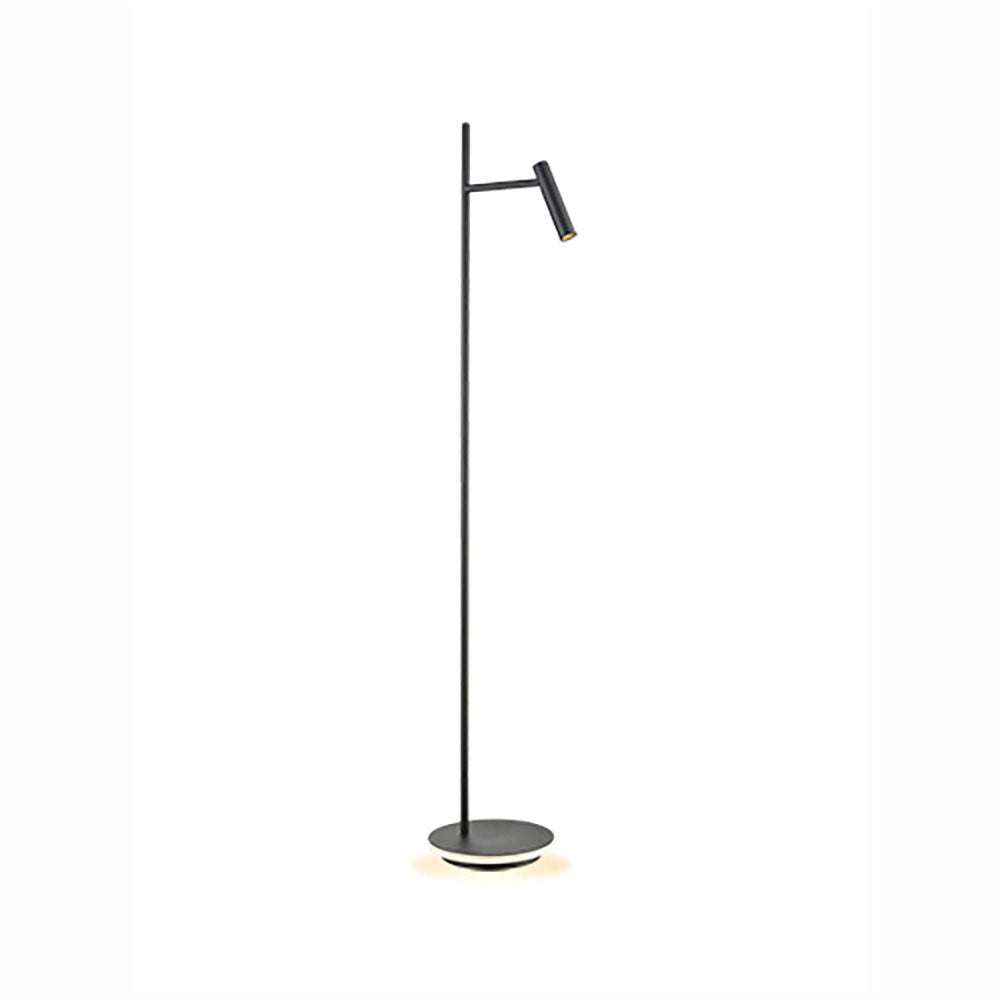 Lewis LED floor lamp with illuminated base