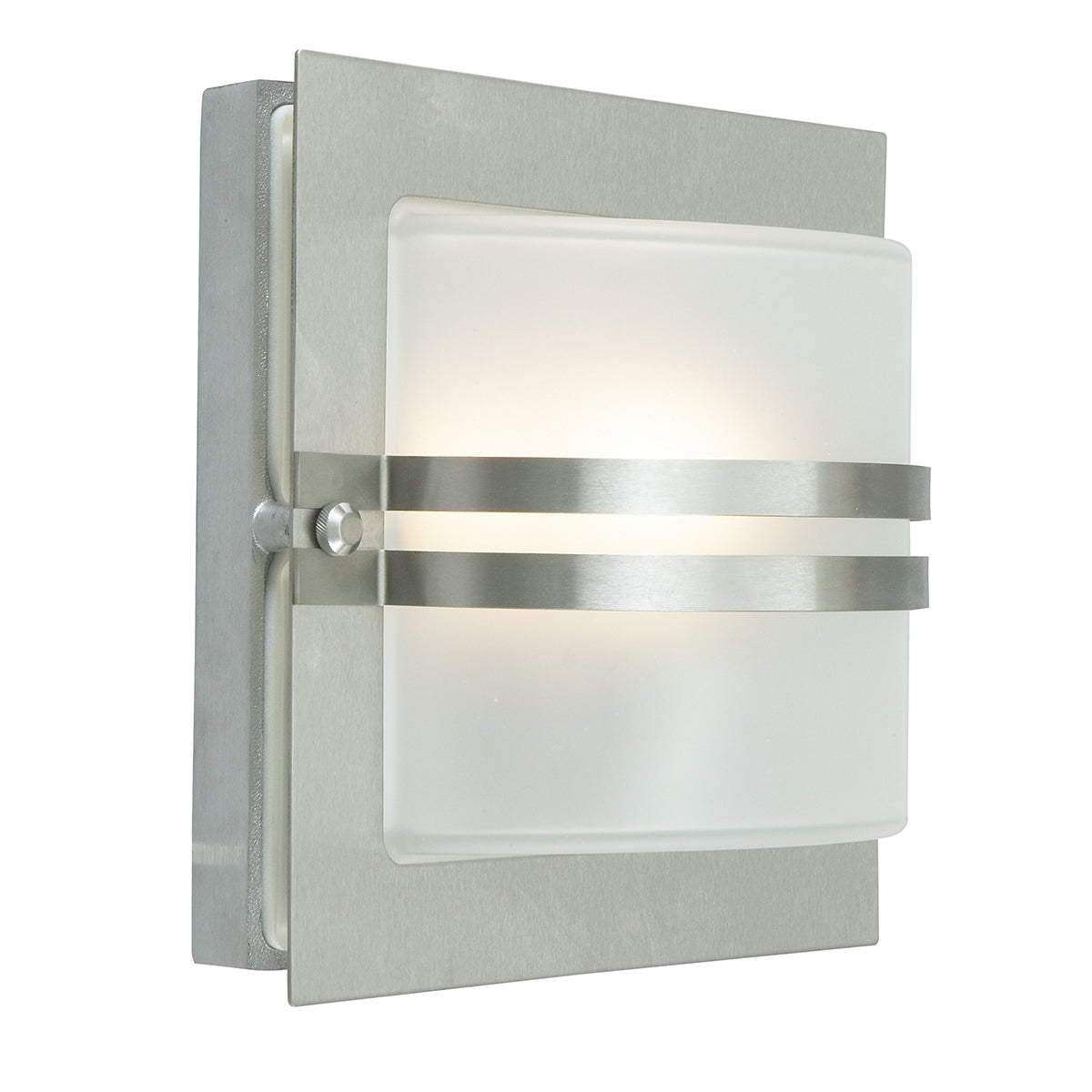 Bern 1-Light Stainless Steel Wall Light with Frosted Glass