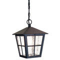 Canterbury Large 1-Light Black Hanging Lantern