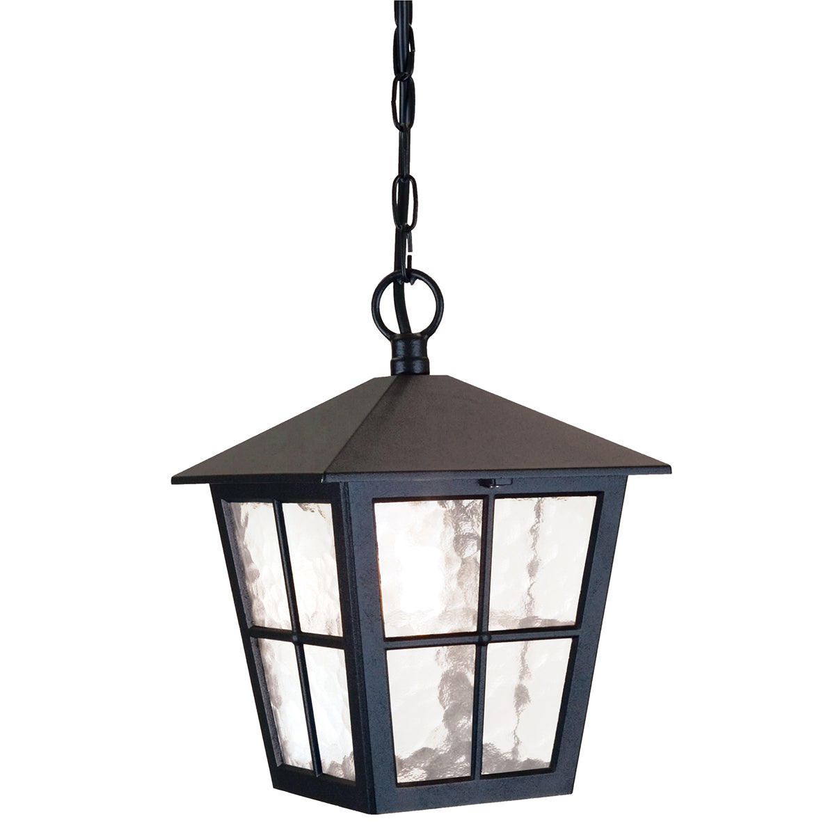 Canterbury Large 1-Light Black Hanging Lantern