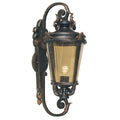 Baltimore Large Wall Lantern (Weathered Bronze)