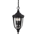 English Bridle 3 Light Medium Chain Lantern - Black