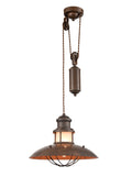 Newton Bronze Rise and Fall Pendant