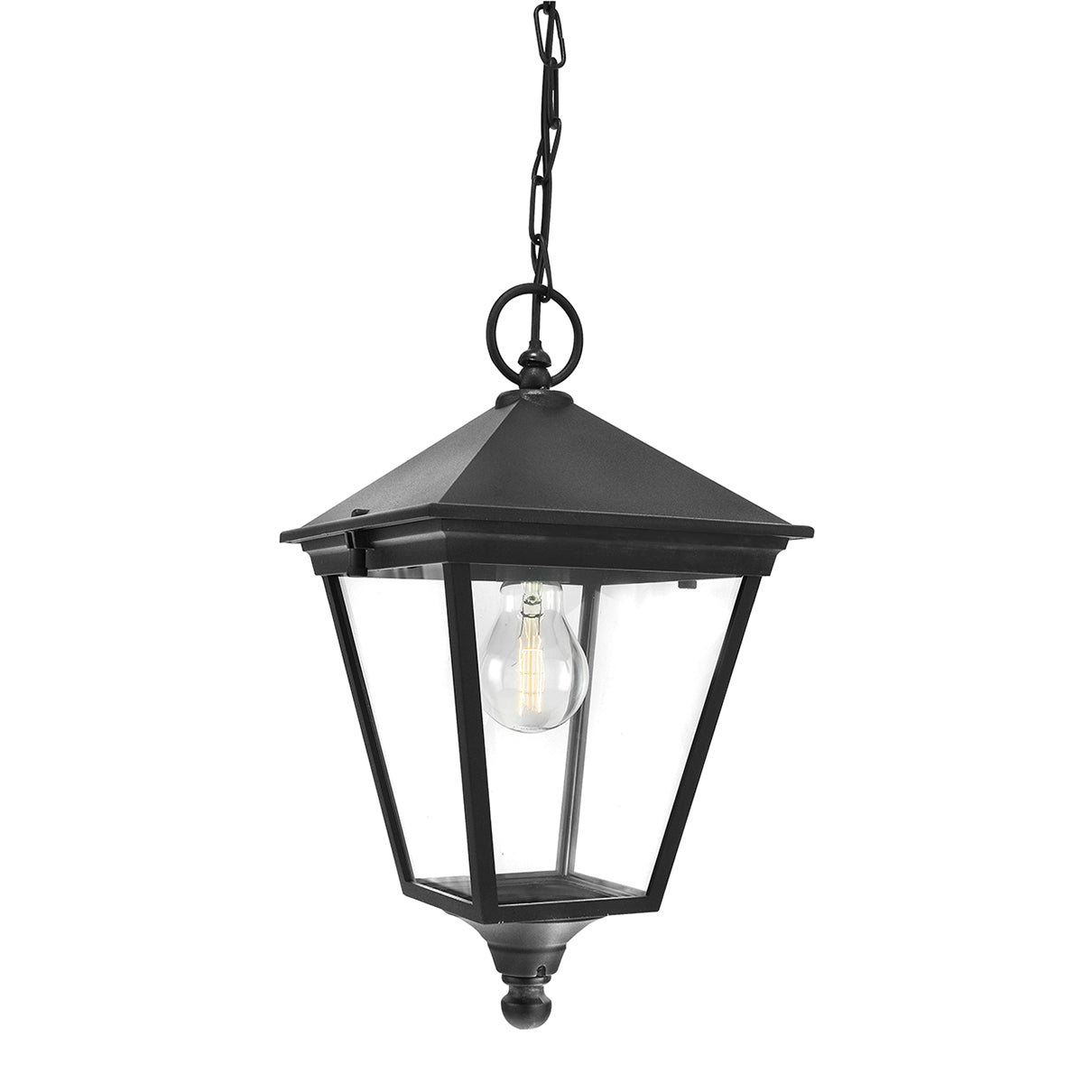 Turin 1-Light Black Chain Lantern