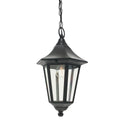 Valencia 1-Light Black Chain Lantern