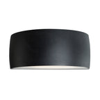Vasa 1-Light Graphite Wall Light