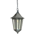 Valencia Grande 1-Light Black Chain Lantern