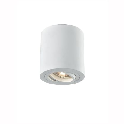 Tilting Surface Mounted Ceiling Light (White Finish)